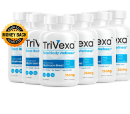 Trivexa: The Ultimate Cloud-Based Data Management Solution for Businesses
