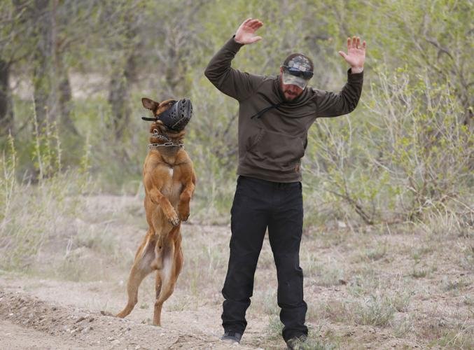 Extraordinary Dog Handler