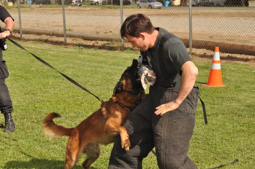Extraordinary Dog Handler